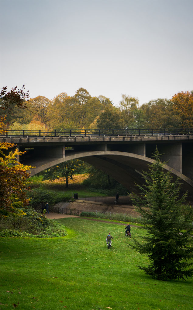 echo bridge by phil riley